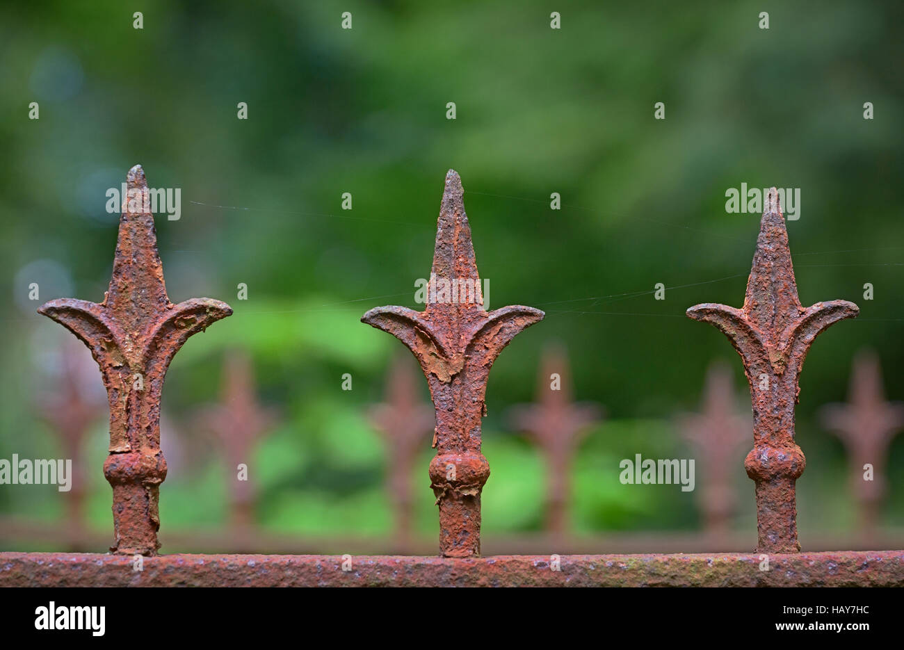 Detail von einem alten rostigen Zaun mit drei Fleur Stockfoto