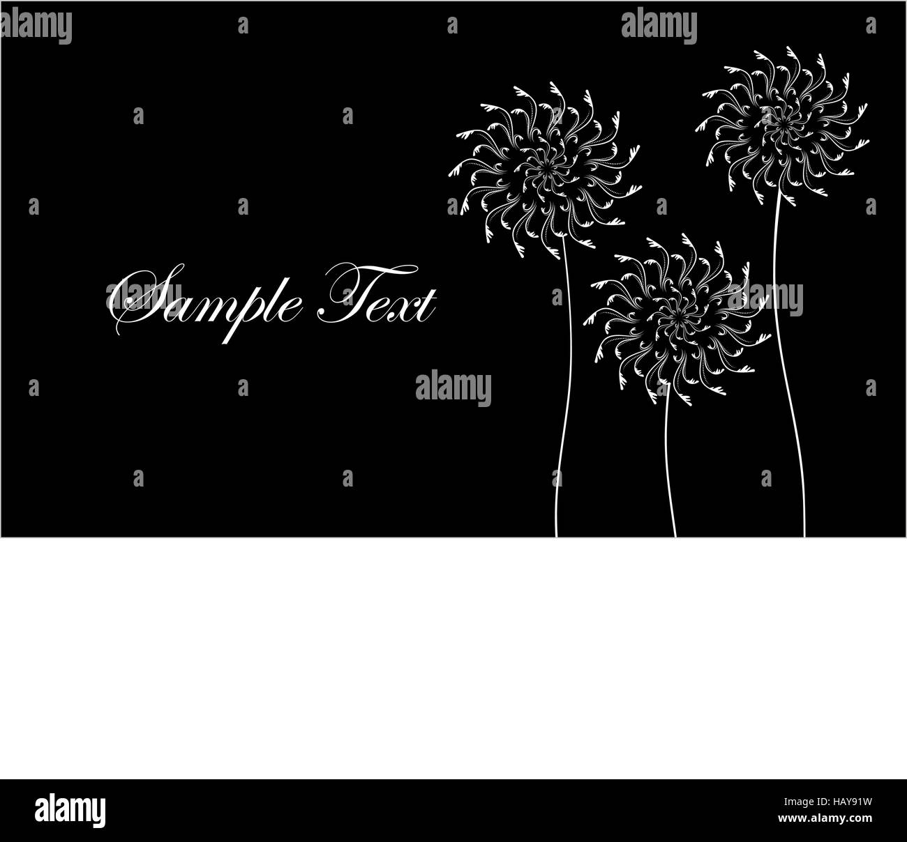 Karte mit abstrakten Blumen, Löwenzahn. Schwarz / weiß-Visitenkarte. Vektor-Illustration. Stock Vektor