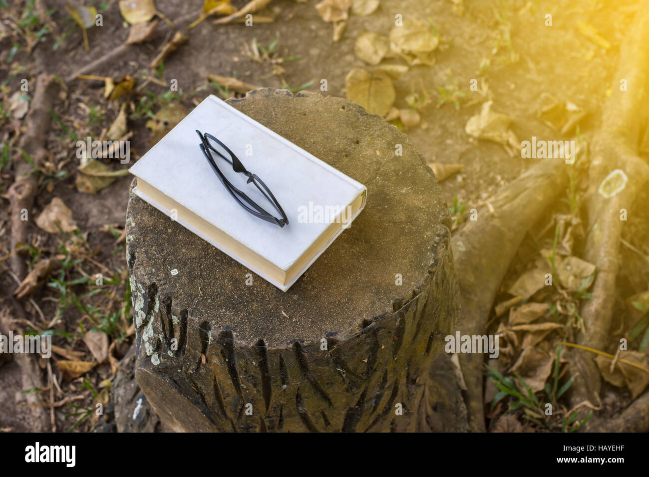 Bücher mit Brille auf einer Bank im Park. Vintage-Ton. Stockfoto