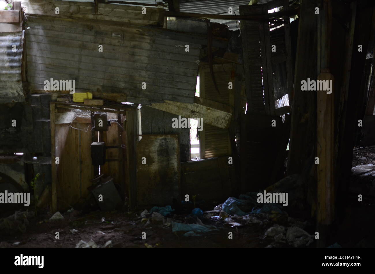 Urban Exploration in einem alten verlassenen Lagerhaus im Wald Stockfoto