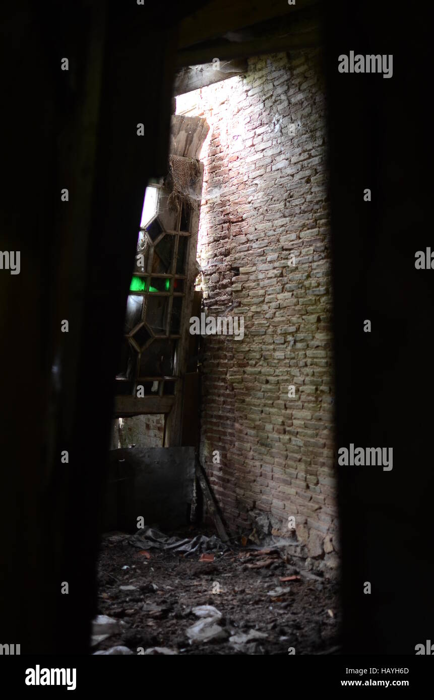 Urban Exploration in einem alten verlassenen Lagerhaus im Wald Stockfoto