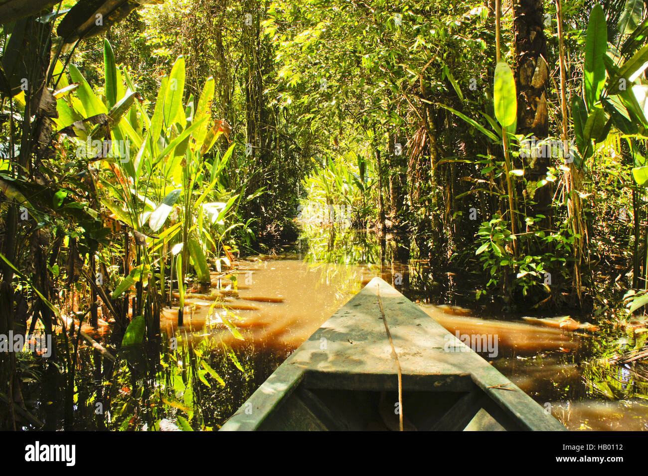 Amazonas, Peru Stockfoto