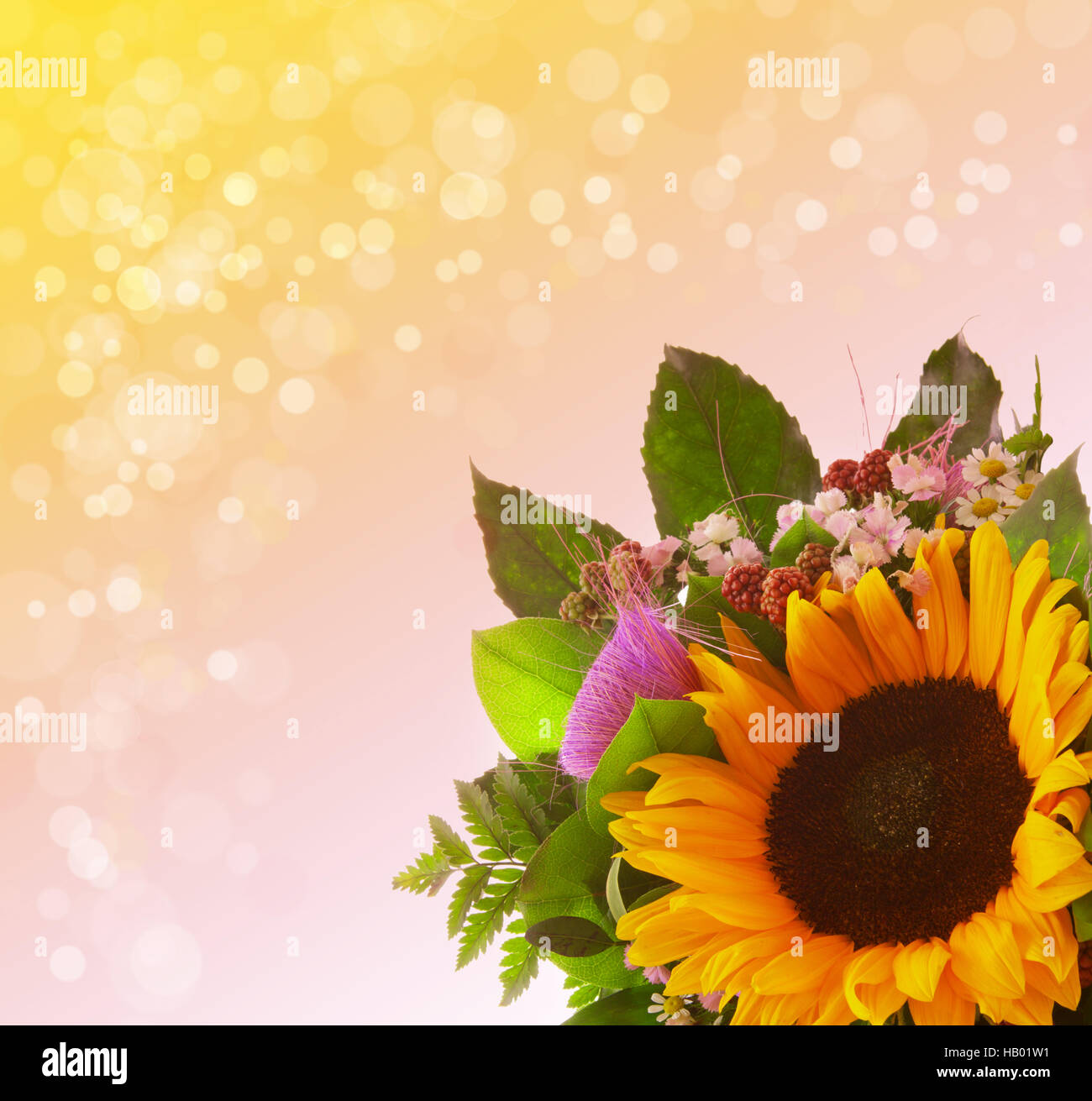 Sonnenblumen Strauß. Stockfoto