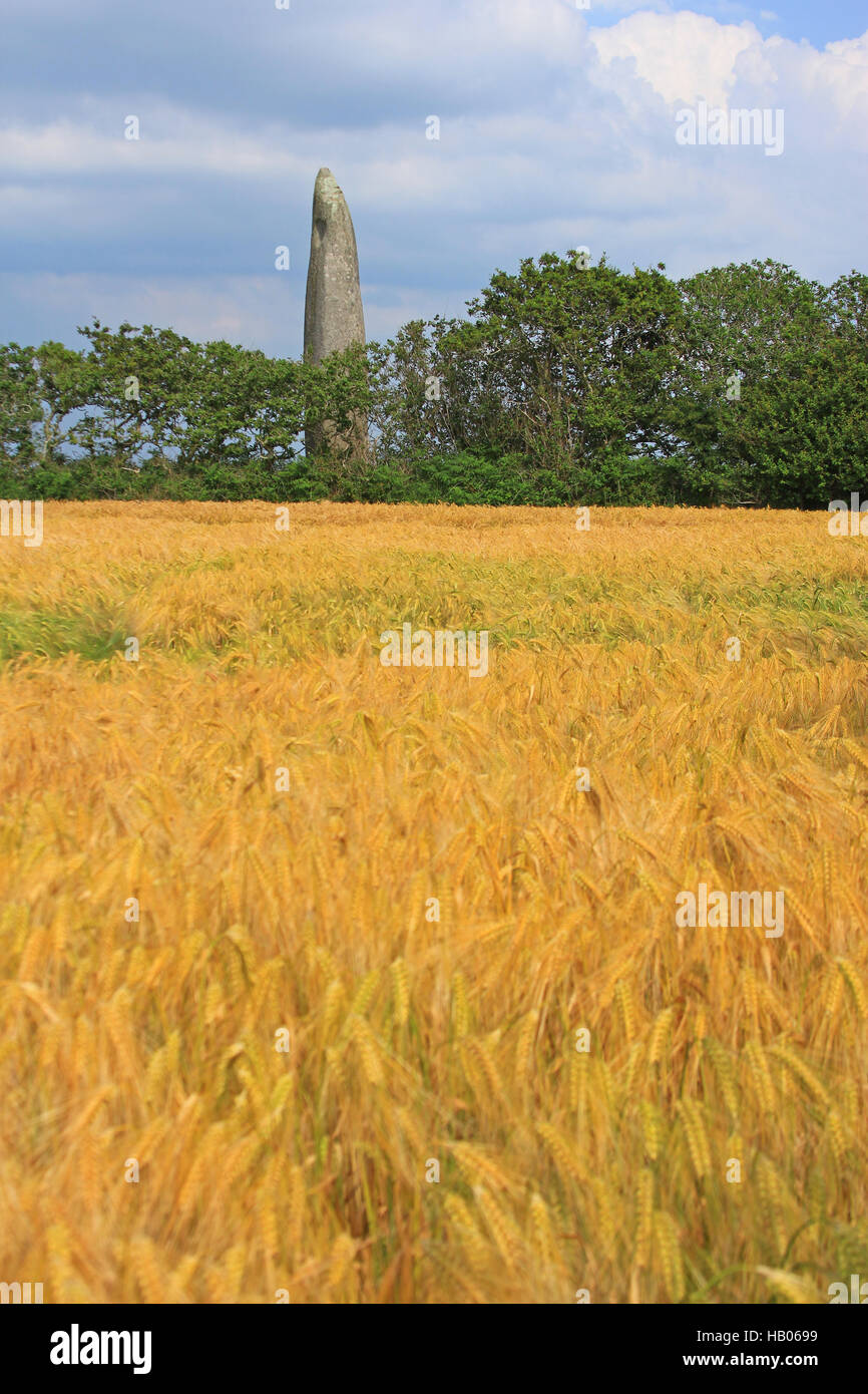 Menhir de Kerloas, Finistere, Frankreich Stockfotografie Alamy