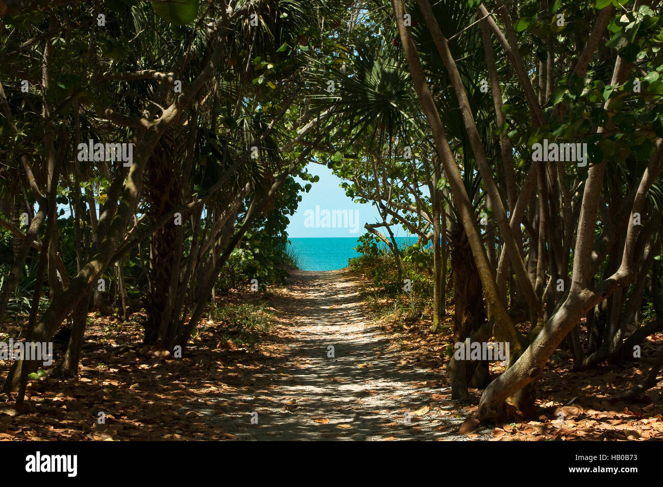 Strand Zugang, Strand, Laufe, Düne, Meer Stockfoto