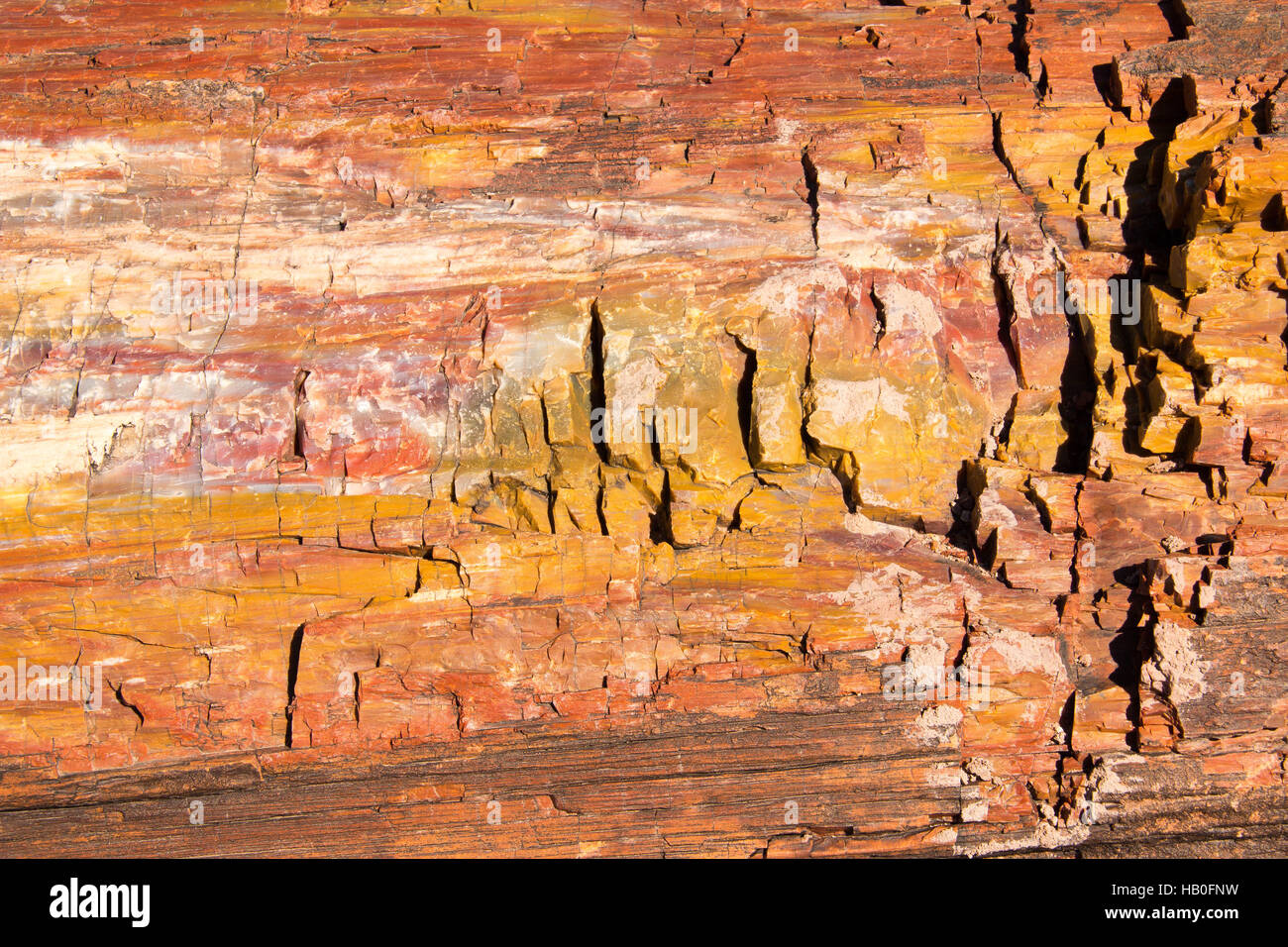 Petrified Forest National Park ist ein Nationalpark in Navajo und Apache County im nordöstlichen Arizona Stockfoto