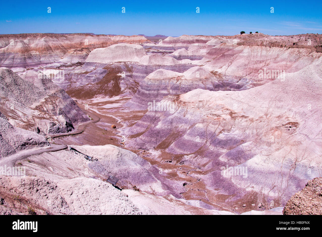Petrified Forest National Park ist ein Nationalpark in Navajo und Apache County im nordöstlichen Arizona Stockfoto