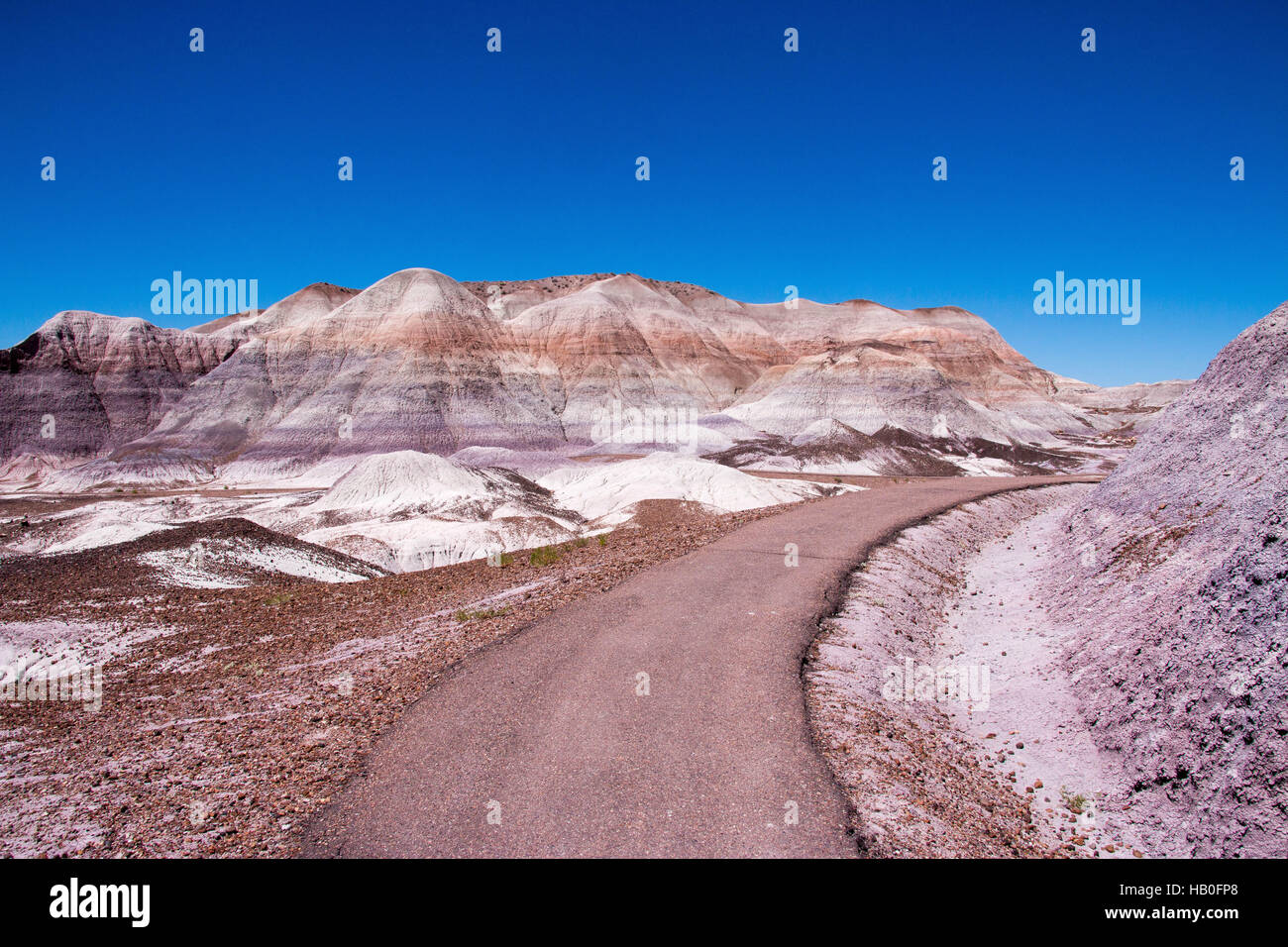 Petrified Forest National Park ist ein Nationalpark in Navajo und Apache County im nordöstlichen Arizona Stockfoto