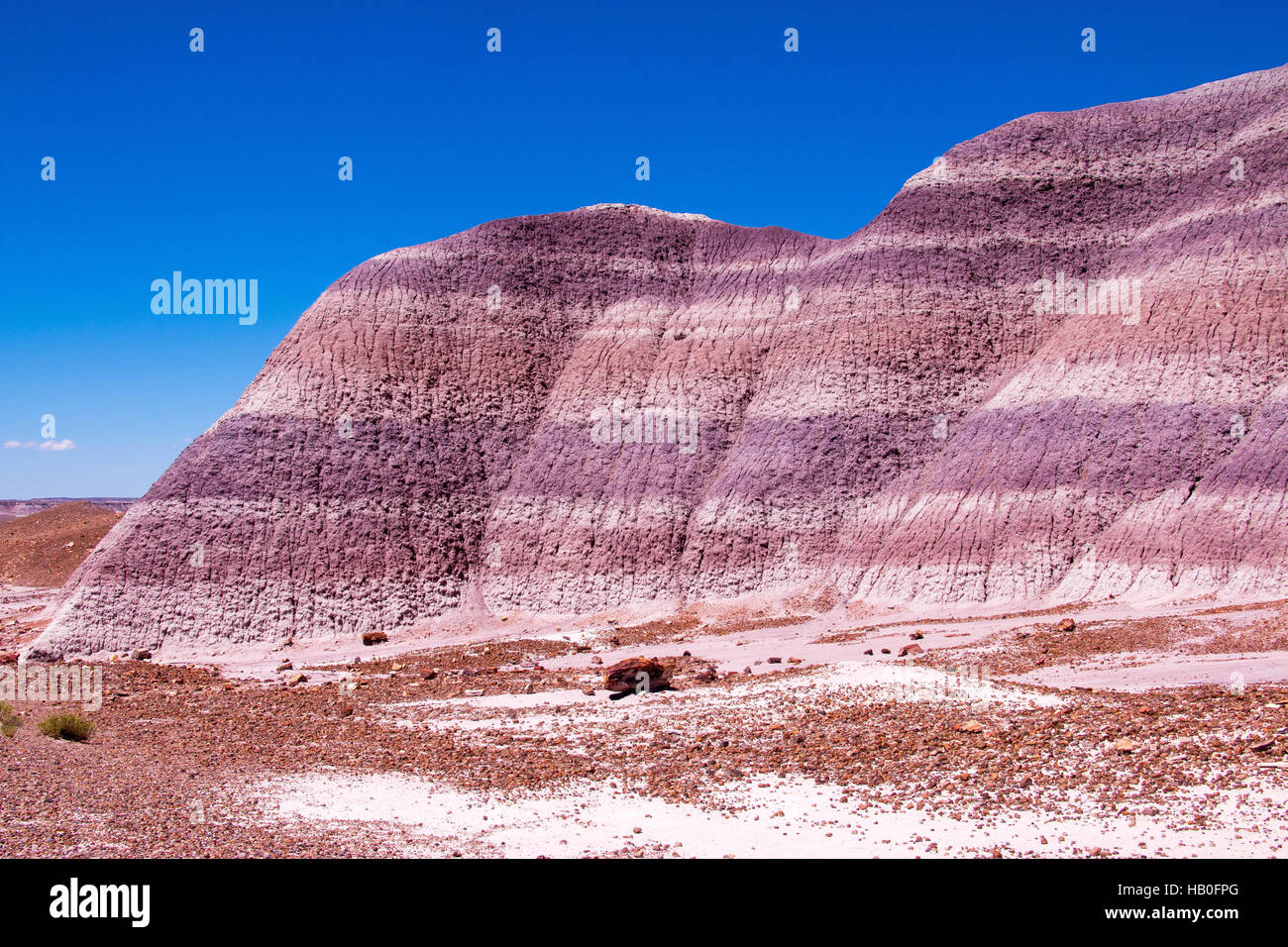 Petrified Forest National Park ist ein Nationalpark in Navajo und Apache County im nordöstlichen Arizona Stockfoto