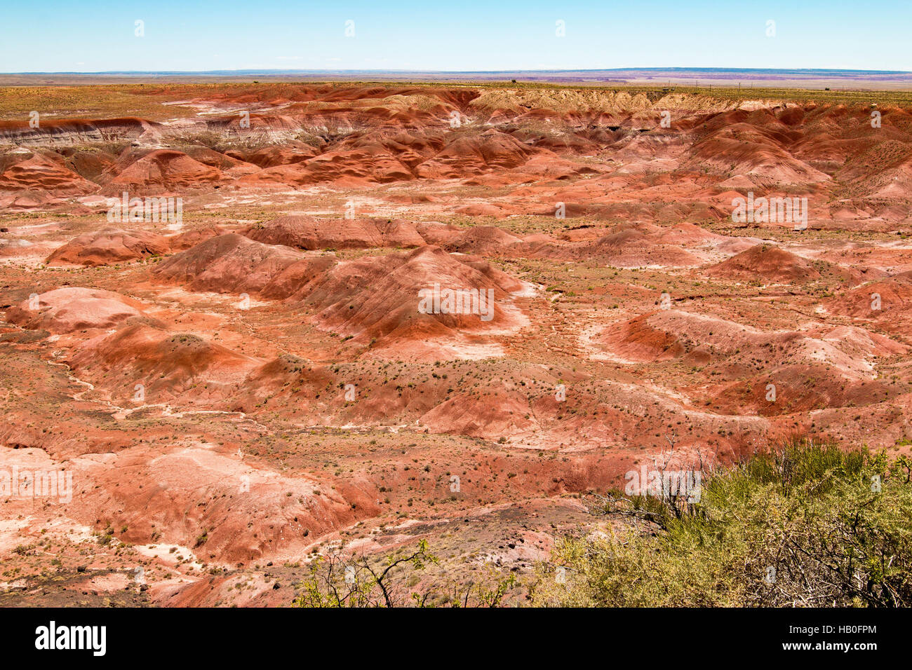Petrified Forest National Park ist ein Nationalpark in Navajo und Apache County im nordöstlichen Arizona Stockfoto
