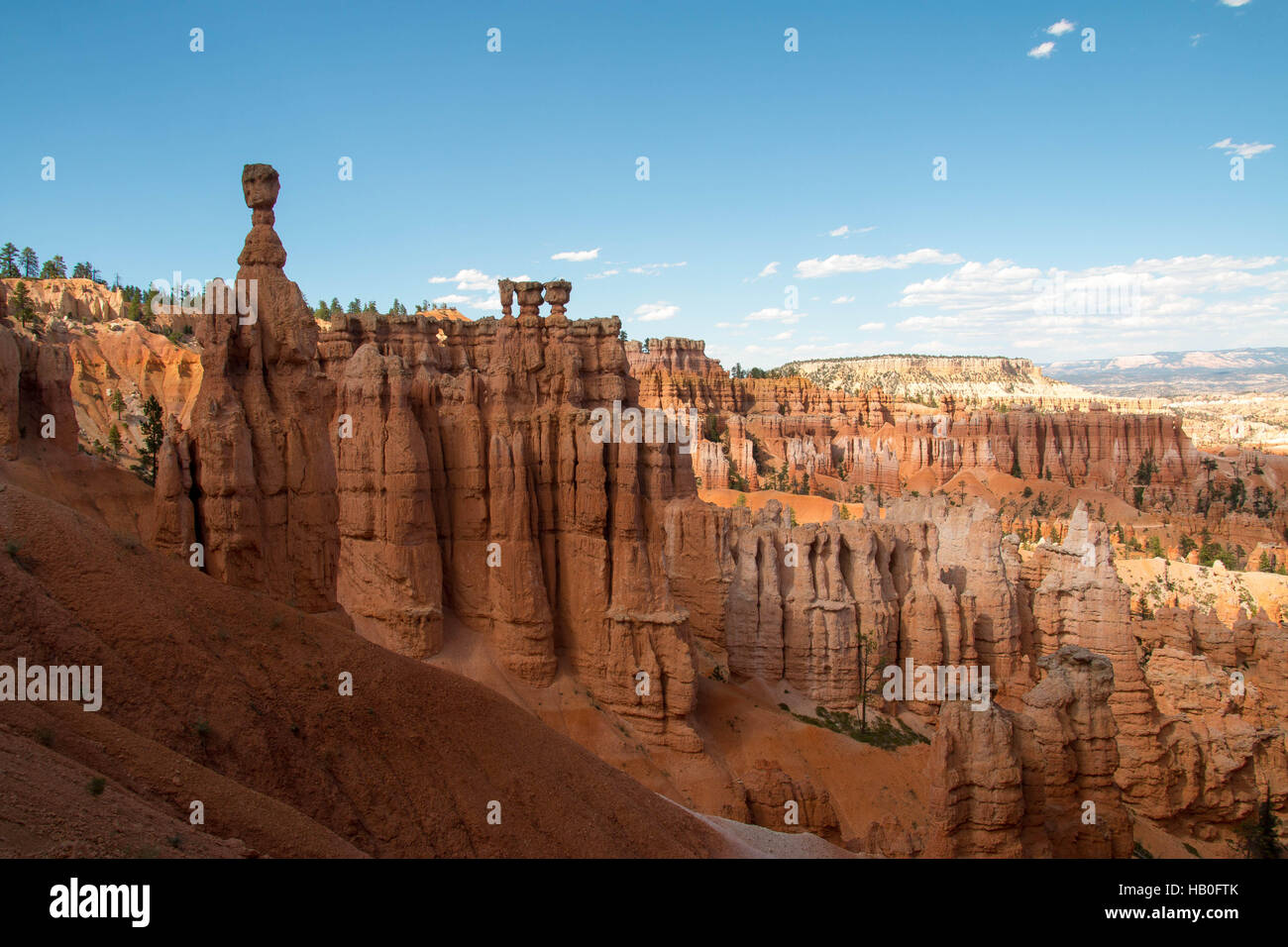 Der Bryce Canyon National Park, Utah, Vereinigte Staaten von Amerika Stockfoto