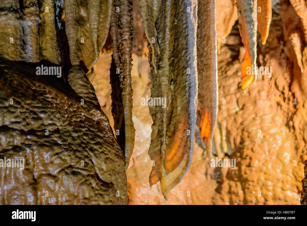 Feuchte Tropfsteine Stockfoto