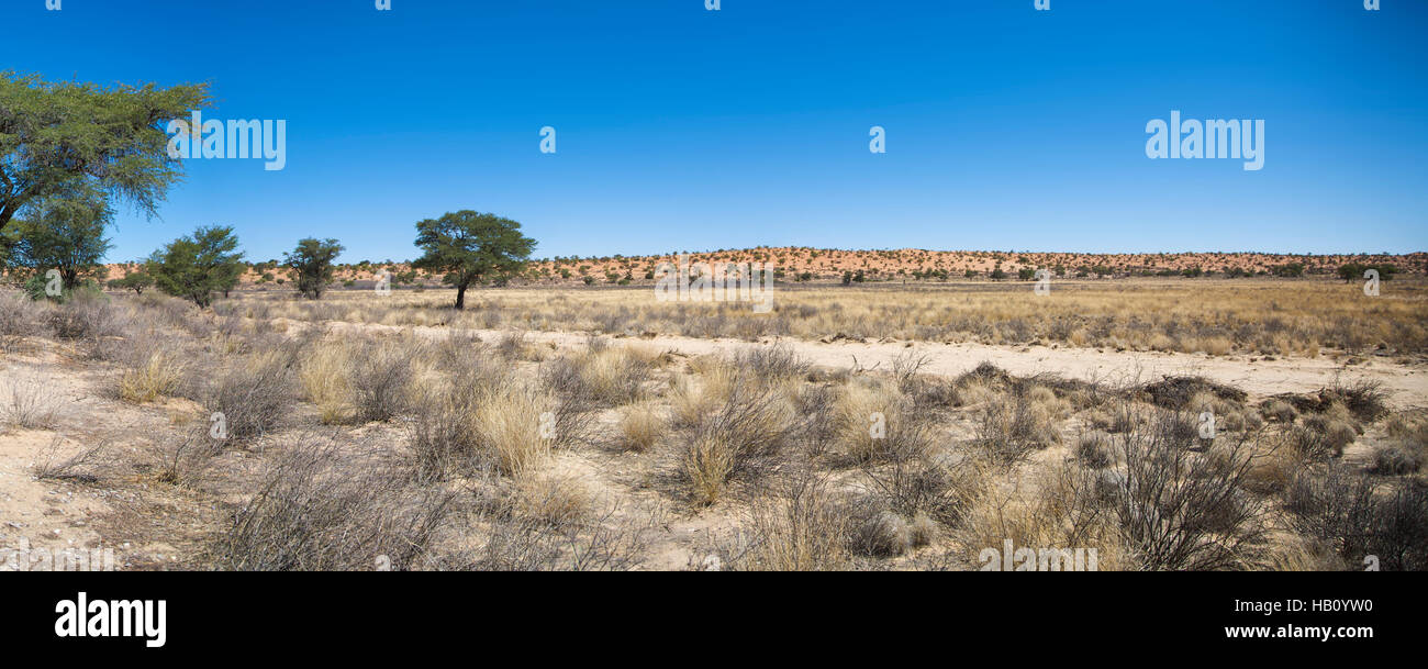 Herrliche Sicht auf die Wüste in Südafrika Stockfoto