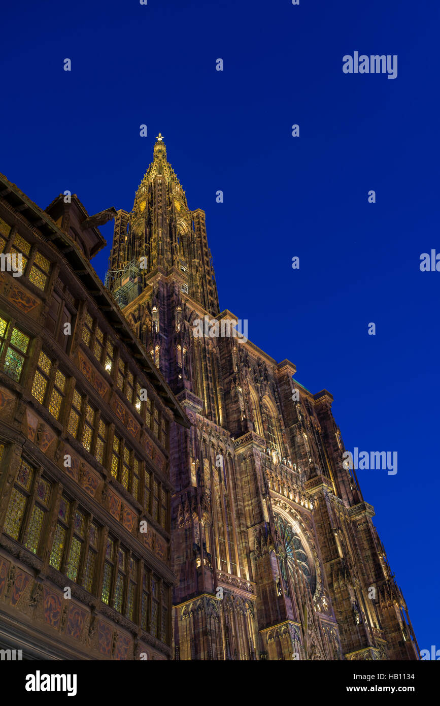 Ansicht des Straßburger Münsters aus Boden. Elsass, Frankreich Stockfoto