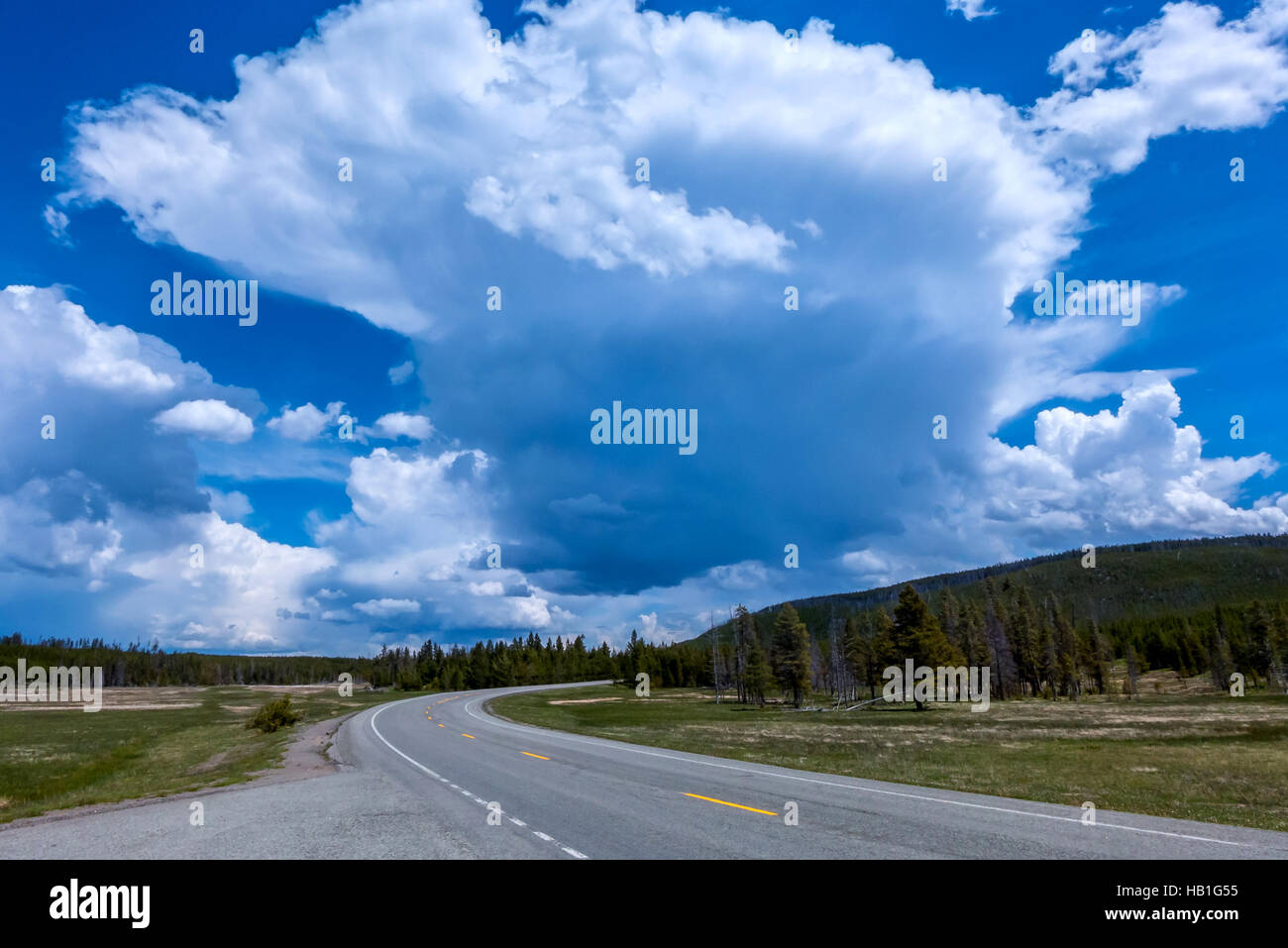 Blick auf die Wüste auf einem Roadtrip im Yellowstone-Nationalpark Stockfoto