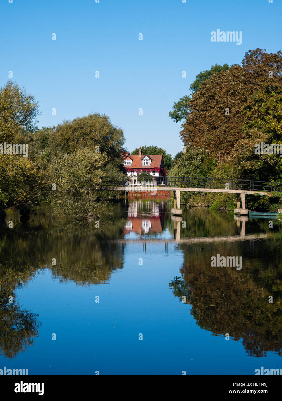 Bäume im Herbst, Themse, Sonning nr Reading, Berkshire, England, UK, GB. Stockfoto