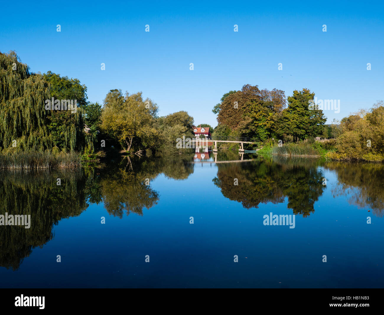 Bäume im Herbst, Themse, Sonning nr Reading, Berkshire, England, UK, GB. Stockfoto