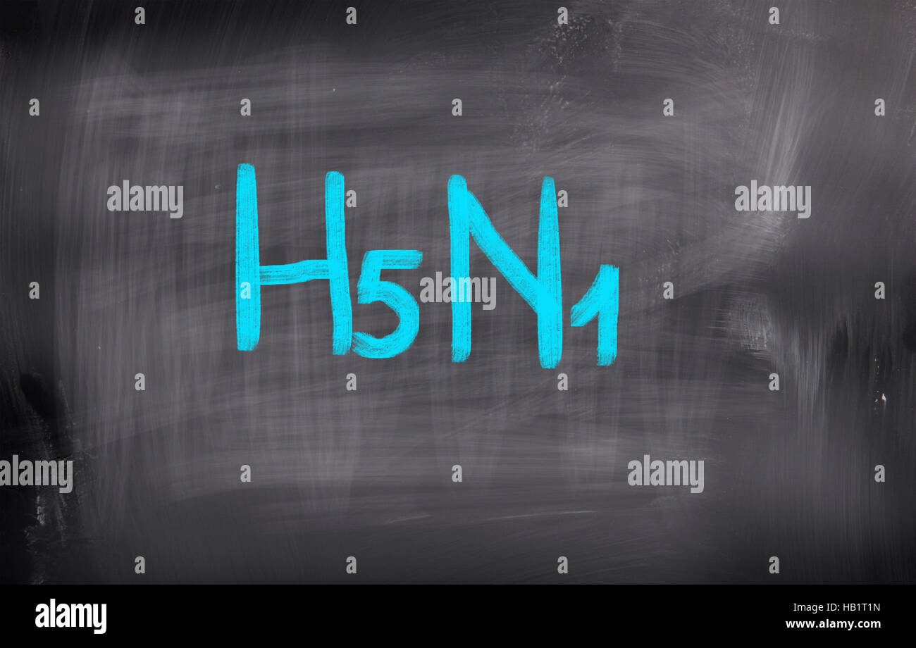 H5N1-Konzept Stockfoto