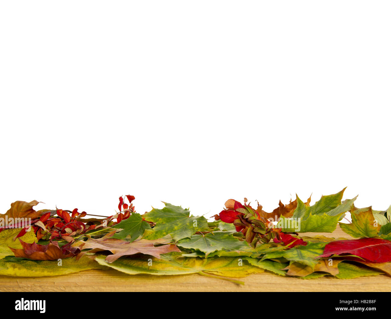 Herbst Hintergrund mit bunten Blättern. Stockfoto