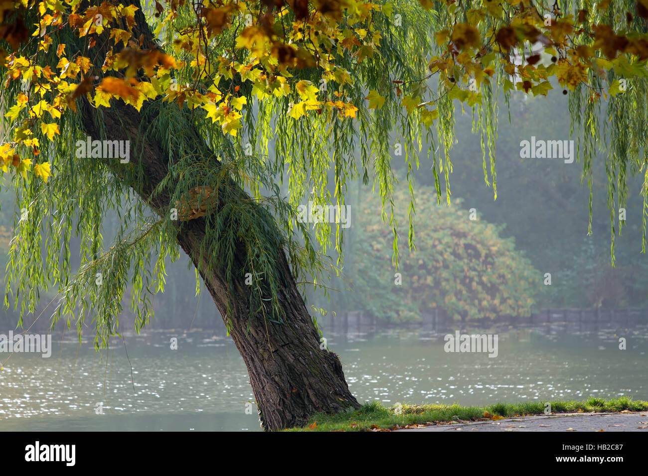 Lietzensee 098. Deutschland Stockfoto