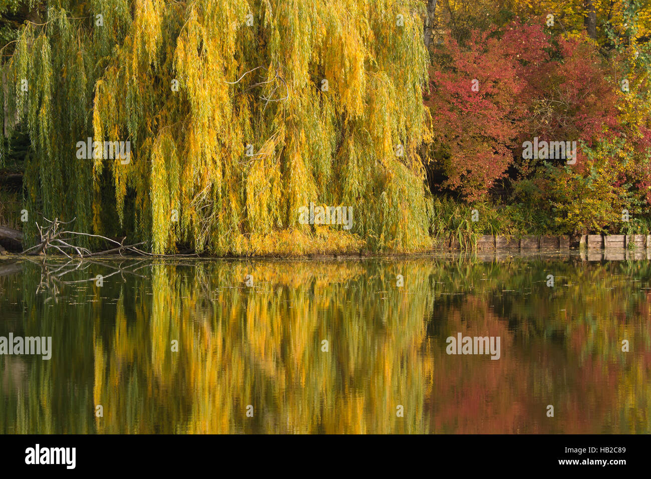 Lietzensee 095. Deutschland Stockfoto