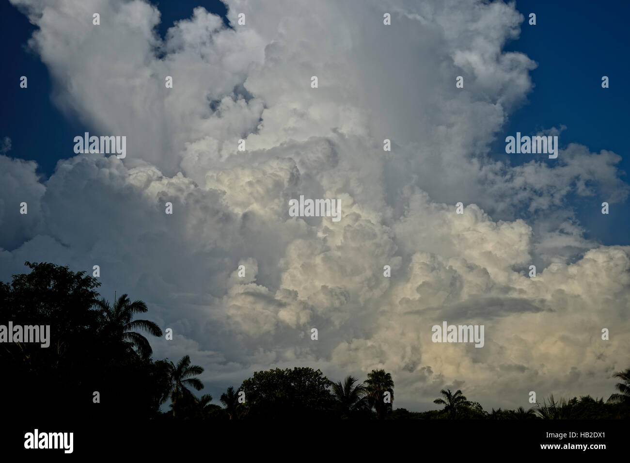 Wolken in der Regenzeit, Corozal Bezirk, Belize Stockfoto