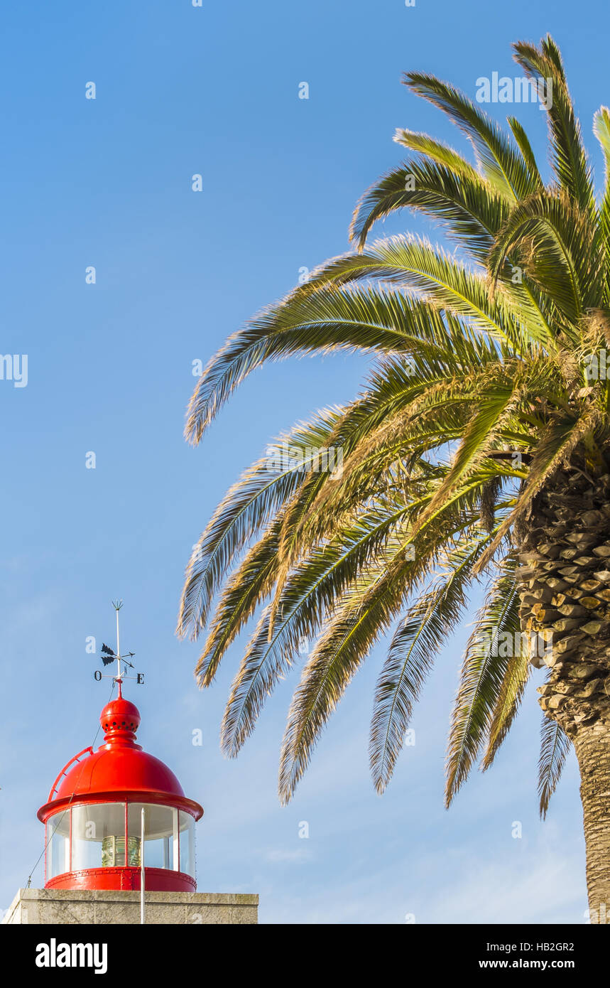 Leuchtturm und Palm tree Stockfoto