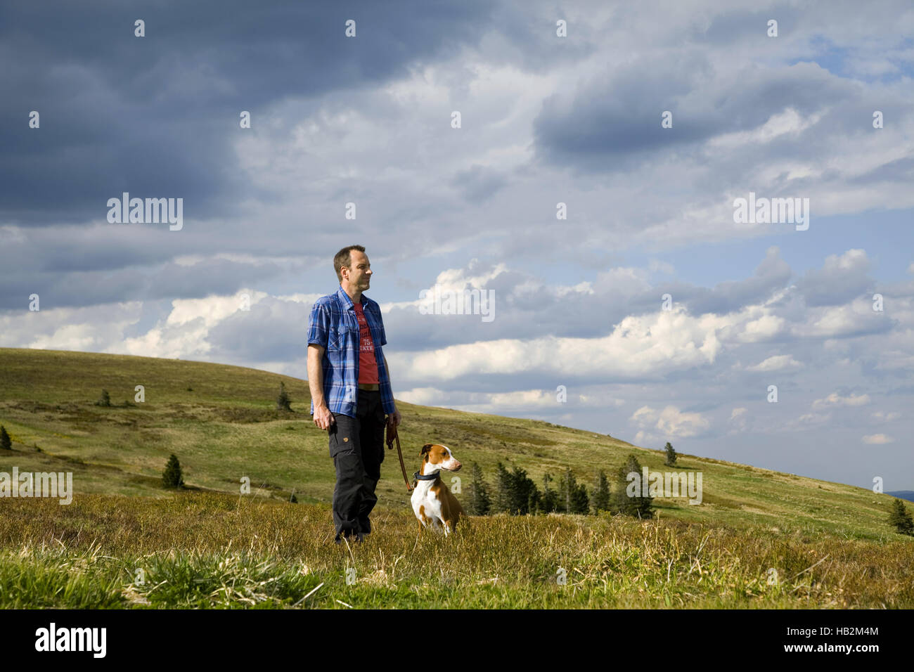 Mann mit Hund auf der Suche auf dem Lande Stockfoto