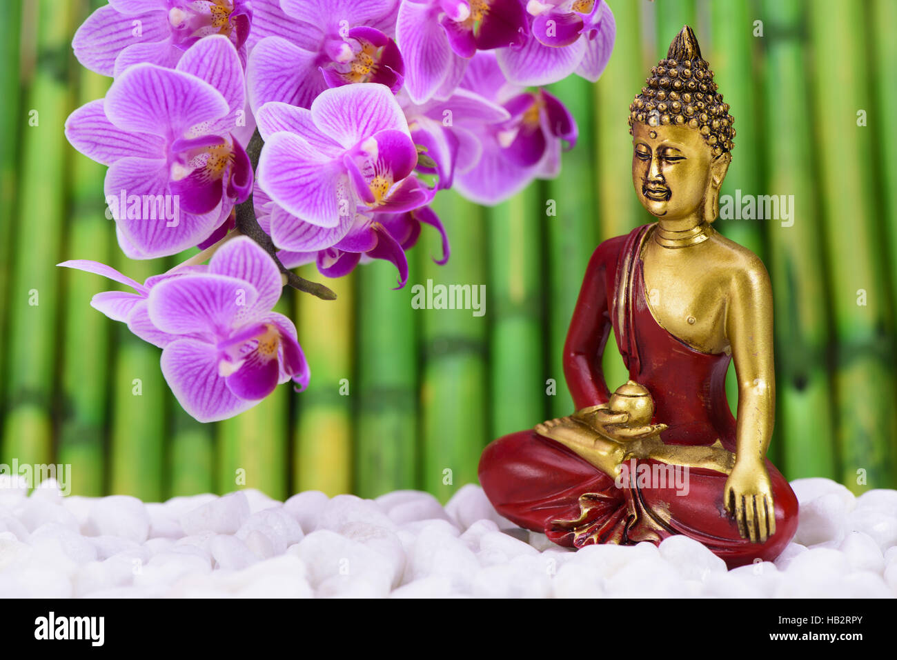 Buddha sitzt im ZEN-Garten Stockfoto