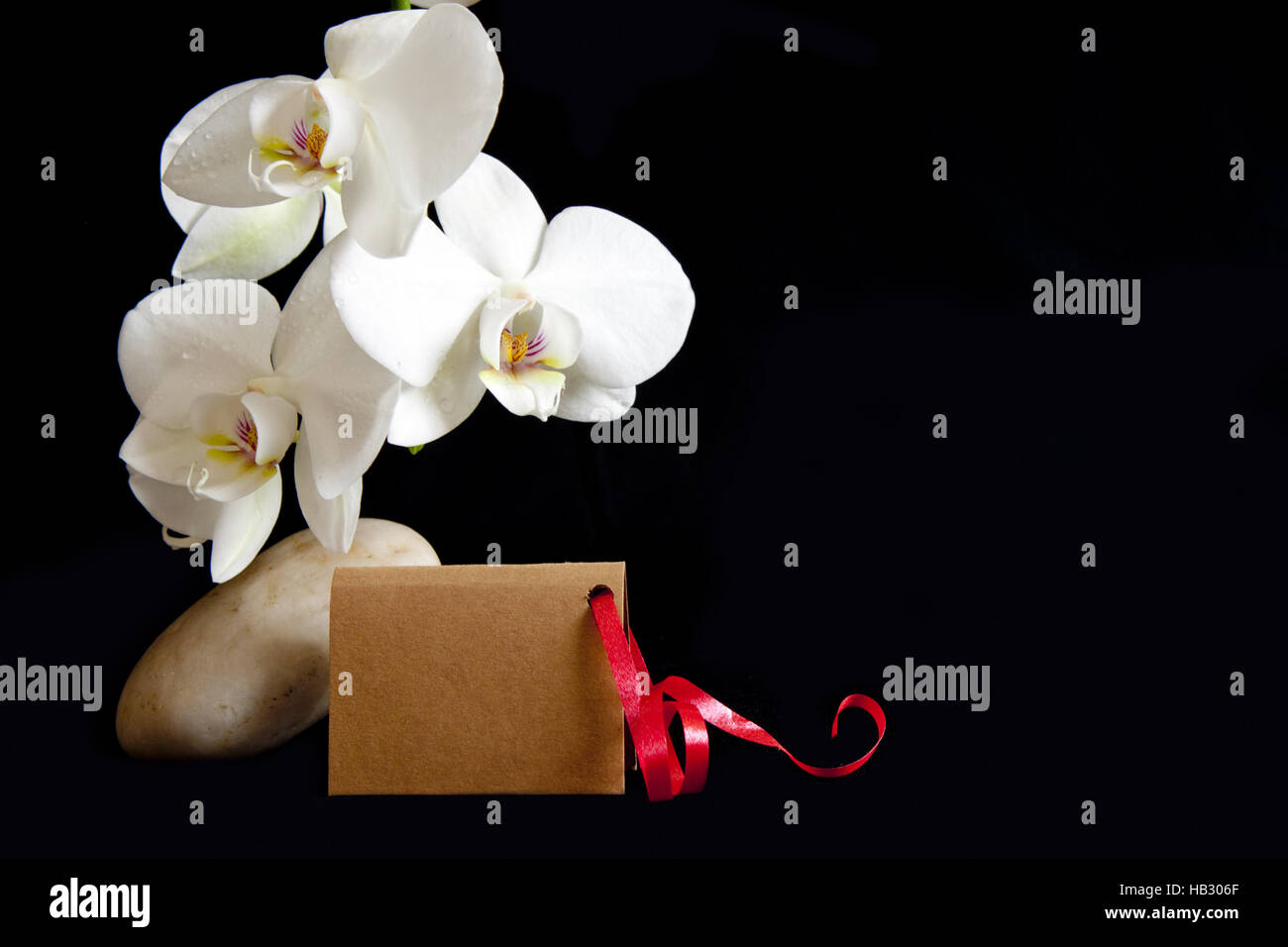 Weiße Orchidee auf Zen Steinen und Karte. Stockfoto