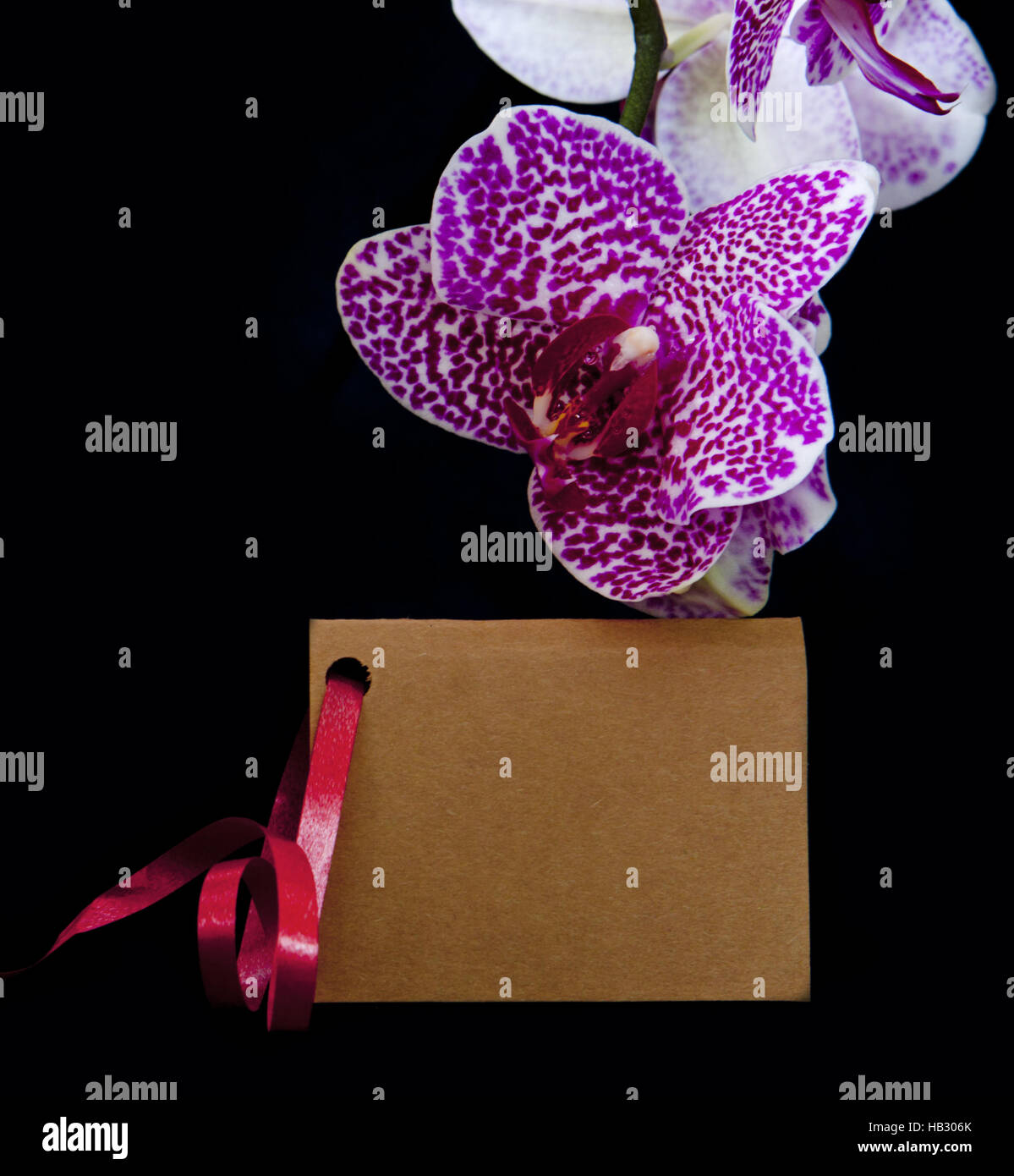 Rosa Orchidee und Karte. Stockfoto