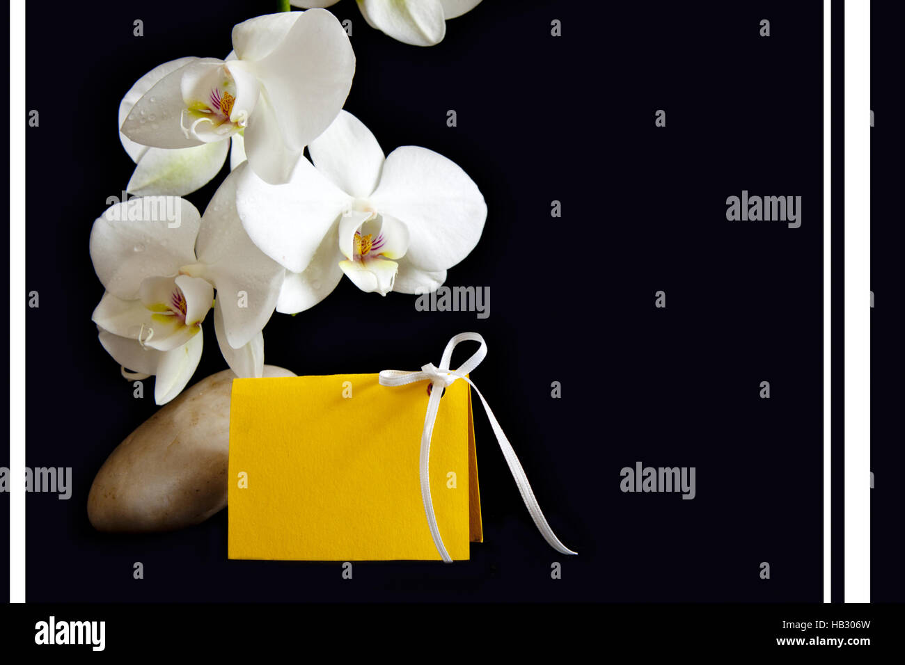 Weiße Orchidee auf Zen Steinen und Karte. Stockfoto