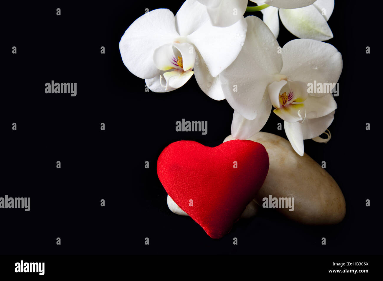 Weiße Orchidee und Liebe Herz. Stockfoto