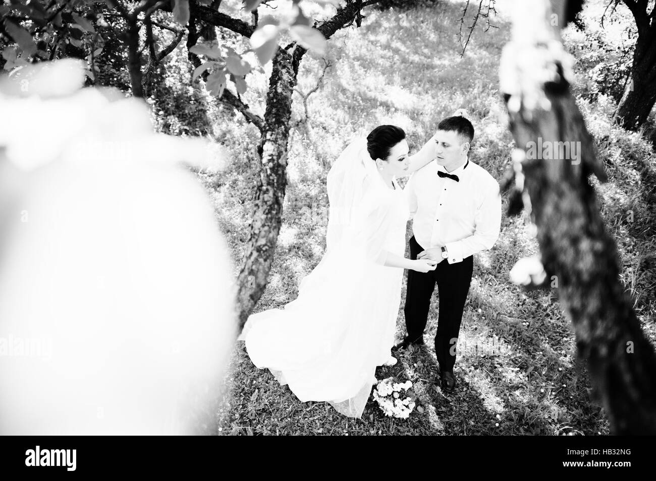 Prachtvolle Hochzeitspaar auf grünen sonnigen Wald Stockfoto