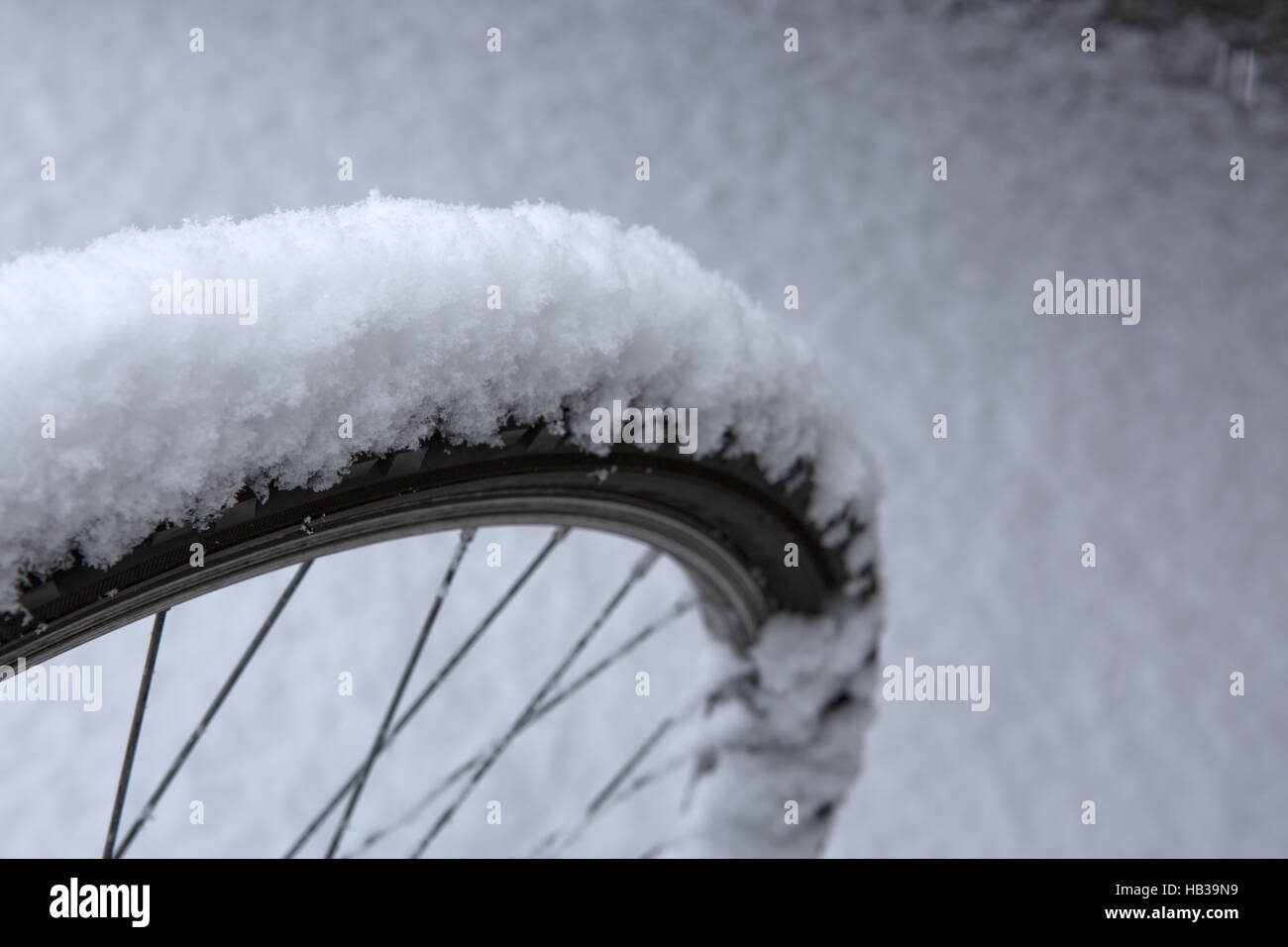 Fahrrad-Rad-Reifen auf weißen Schnee. Stockfoto