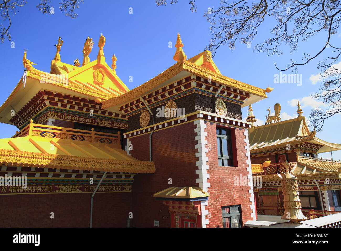 Thrangu Tashi Yangtse Moastery Stockfoto