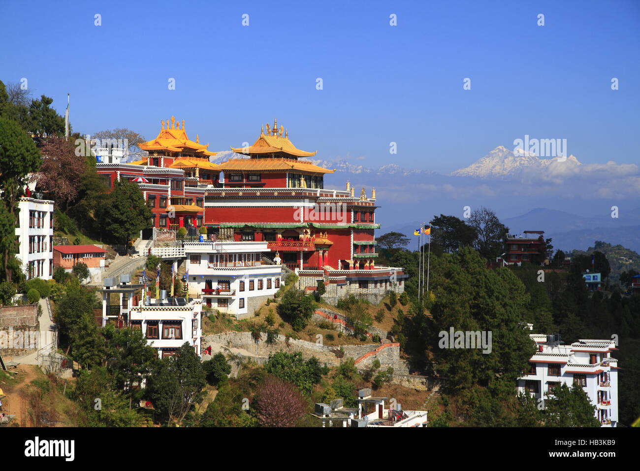 Thrangu Tashi Yangtse Moastery Stockfoto