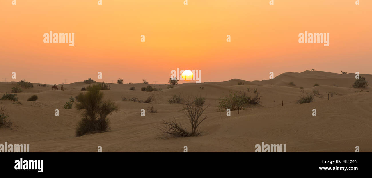 Sanddünen der Wüste in der Nähe von Dubai in Vereinigte Arabische Emirate Stockfoto