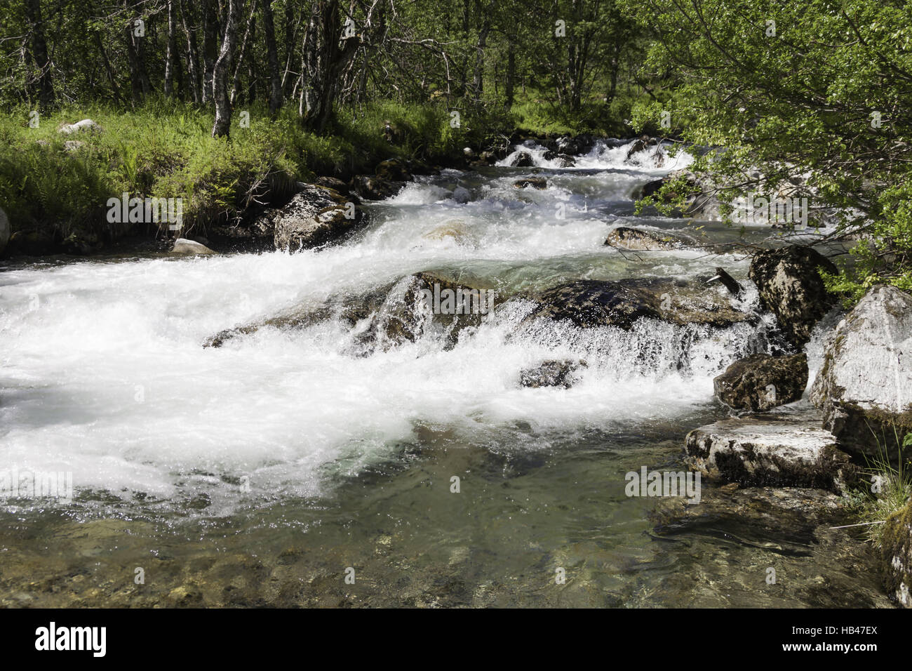 ein kleiner Fluss Stockfoto