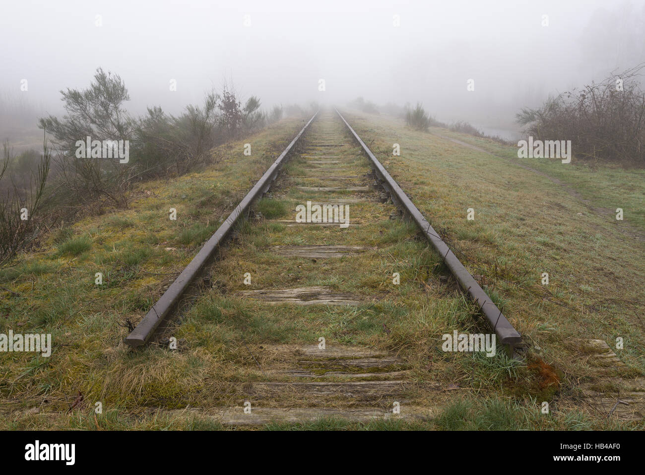 Bahntrasse in Nebel gehüllt. Stockfoto