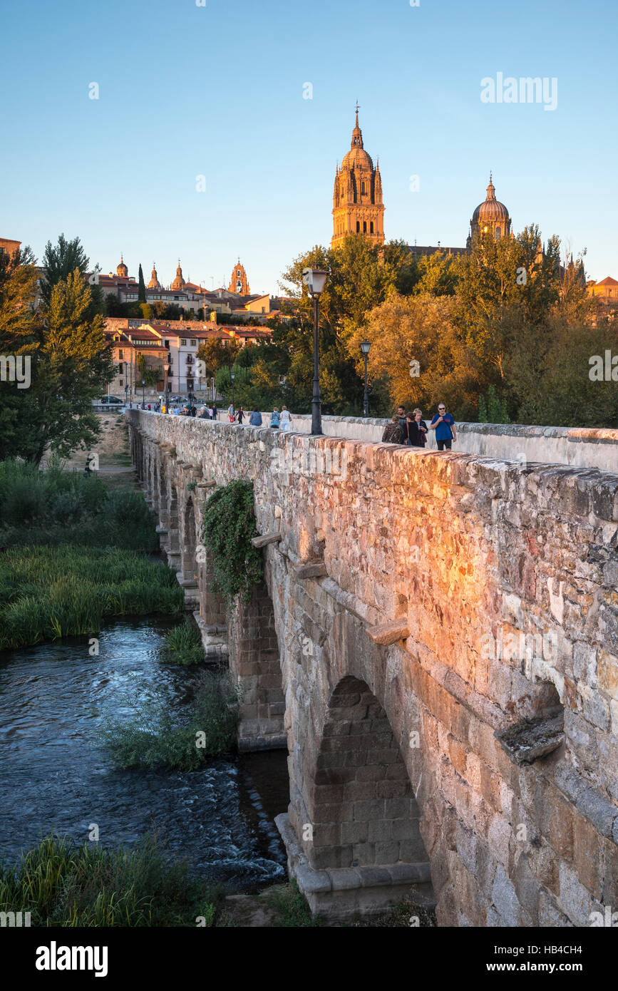 Kathedrale von Salamanca gesehen aus über den Fluss Tormes und Puente Romano, Salamanca, Spanien. Stockfoto