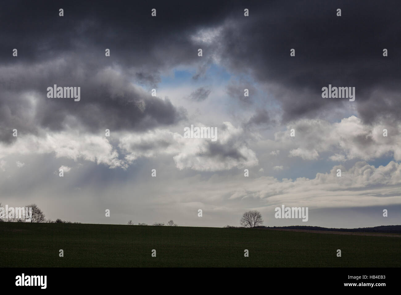 Landschaft im Frühling Stockfoto