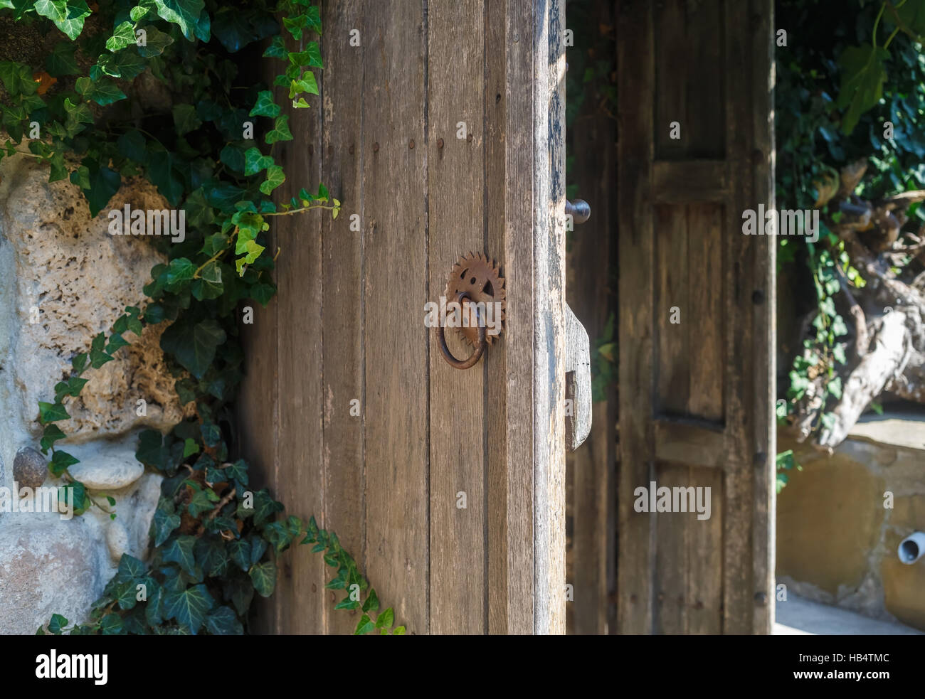 Alte rustikale Tür Stockfoto