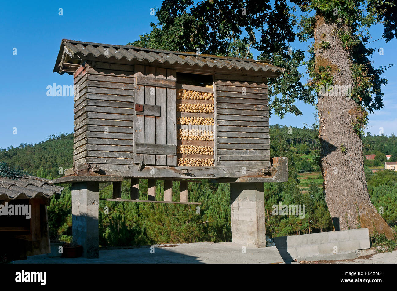 Typisch galizischen Kornspeicher (Horreo), Cabana de Bergantiños, La Coruña Provinz, Region Galicien, Spanien, Europa Stockfoto