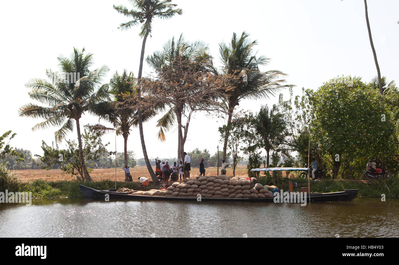 Reis-Boot geladen mit Reis-Säcke aus den Reisfeldern im Bereich Reis Gürtel von Kerala, Indien Stockfoto