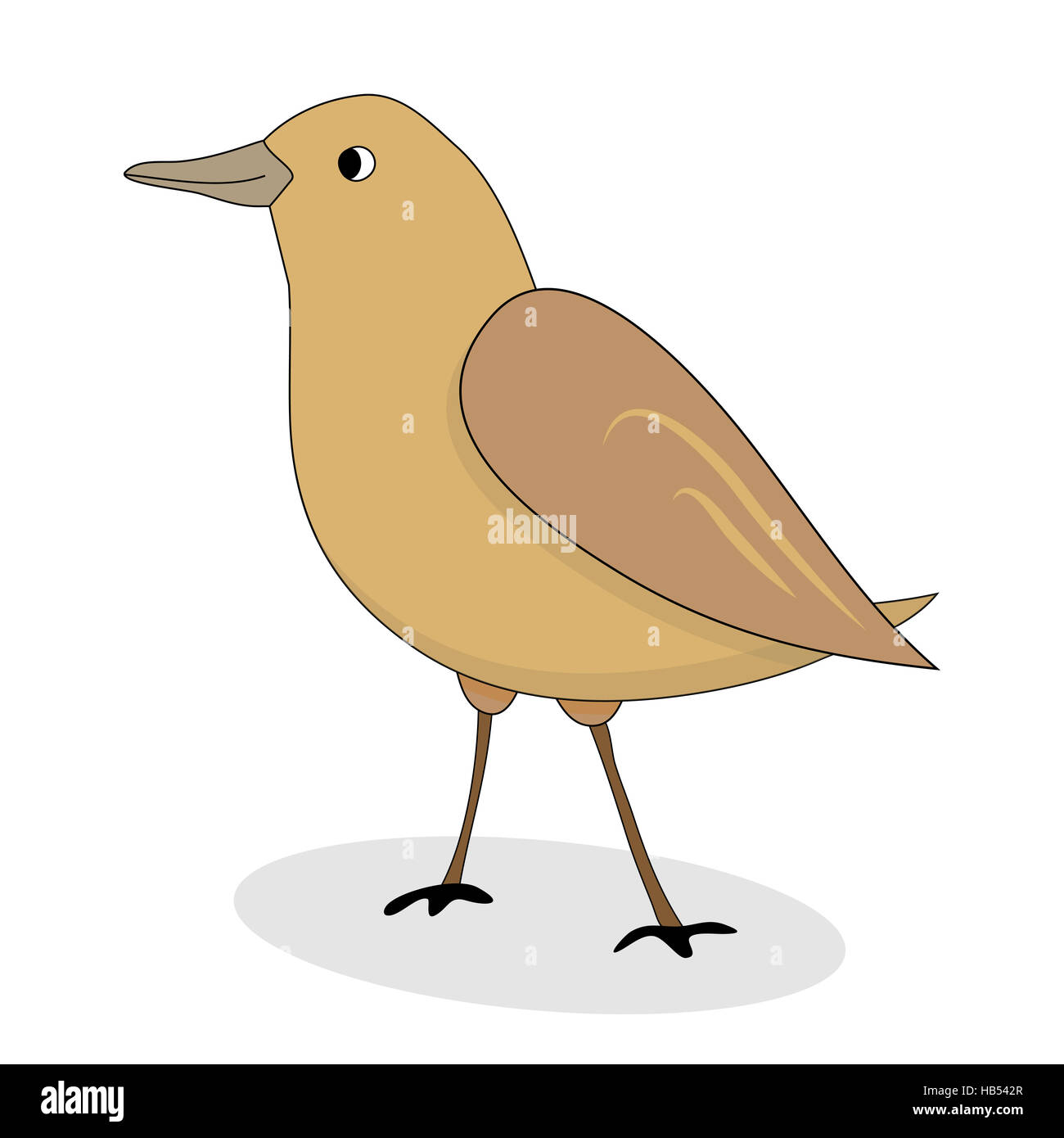 Cartoon Nachtigall Vogel Vektor. Luscinia Luscinia, Nachtigall Abbildung Stockfoto