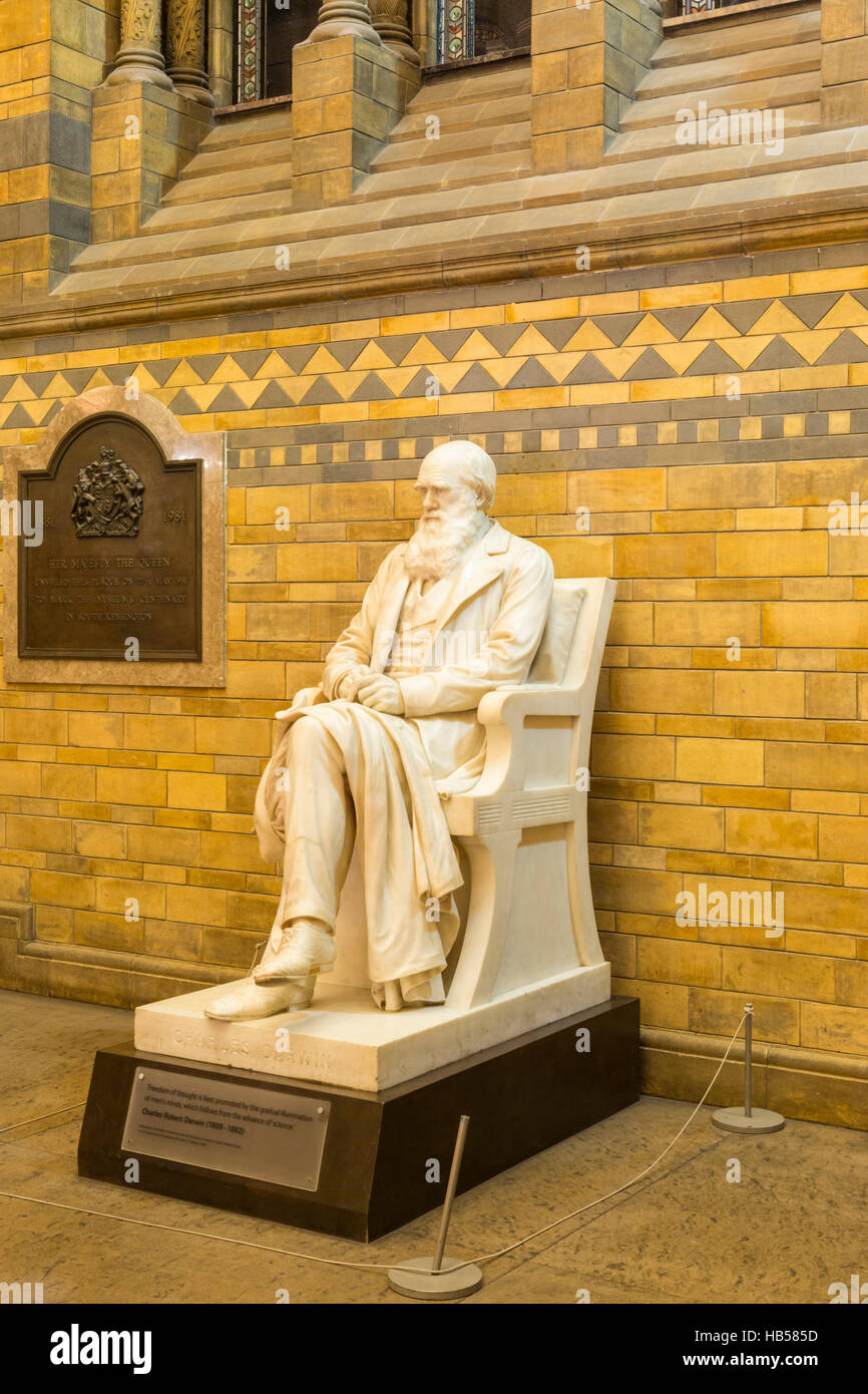 Statue von Charles Darwin von Sir Joseph Boehm in der Haupthalle des Natural History Museum, London, UK Stockfoto