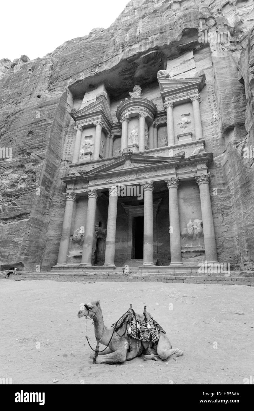 Al Khazneh oder Treasury bei Petra, Jordanien. Die Stadt wird aus Fels und an einigen Stellen auf den Gipfeln der Berge geschnitzt. Die meisten Laun Stockfoto