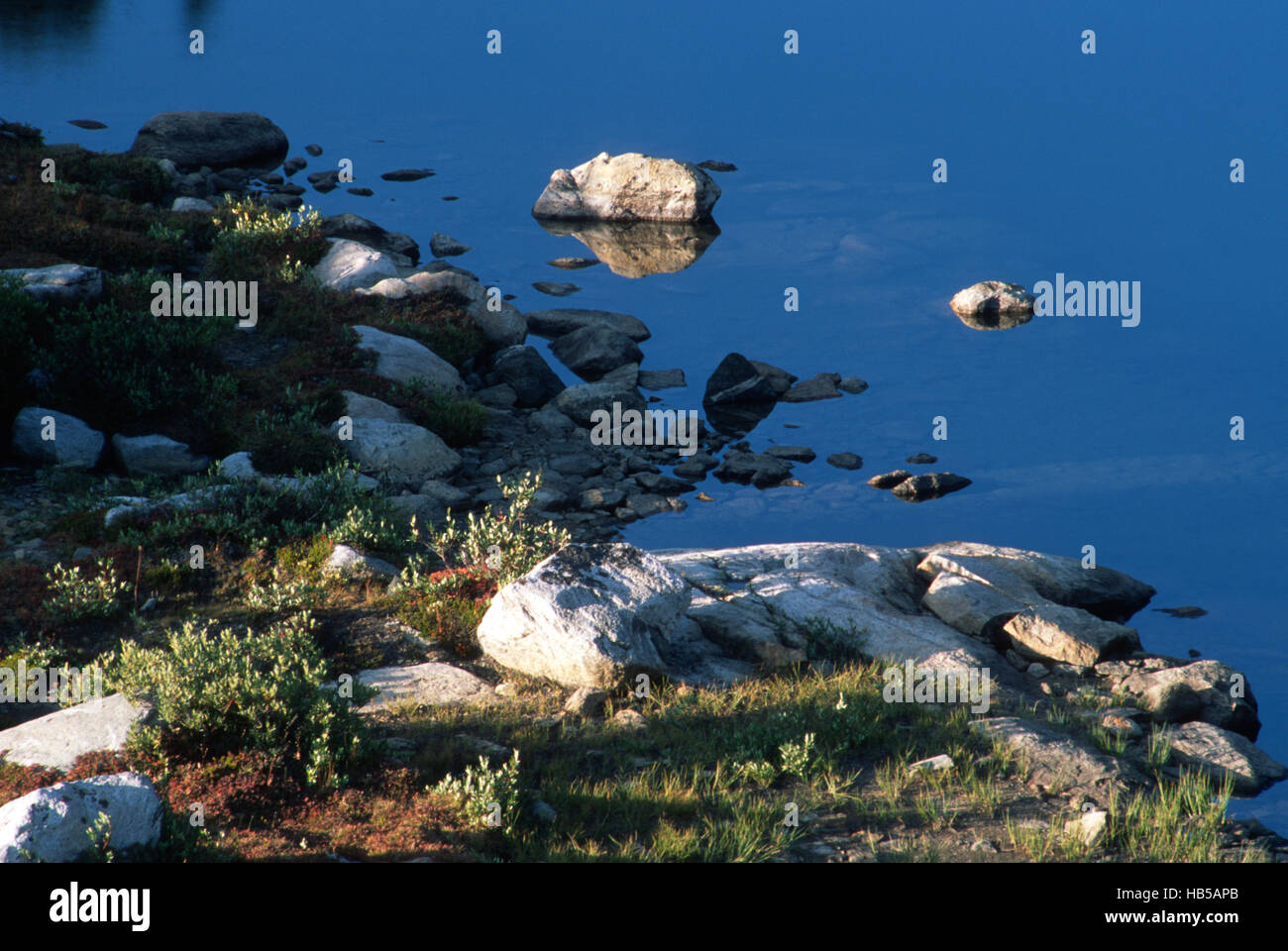 Lake Shore im Alpine Lakes District, Washington Stockfoto