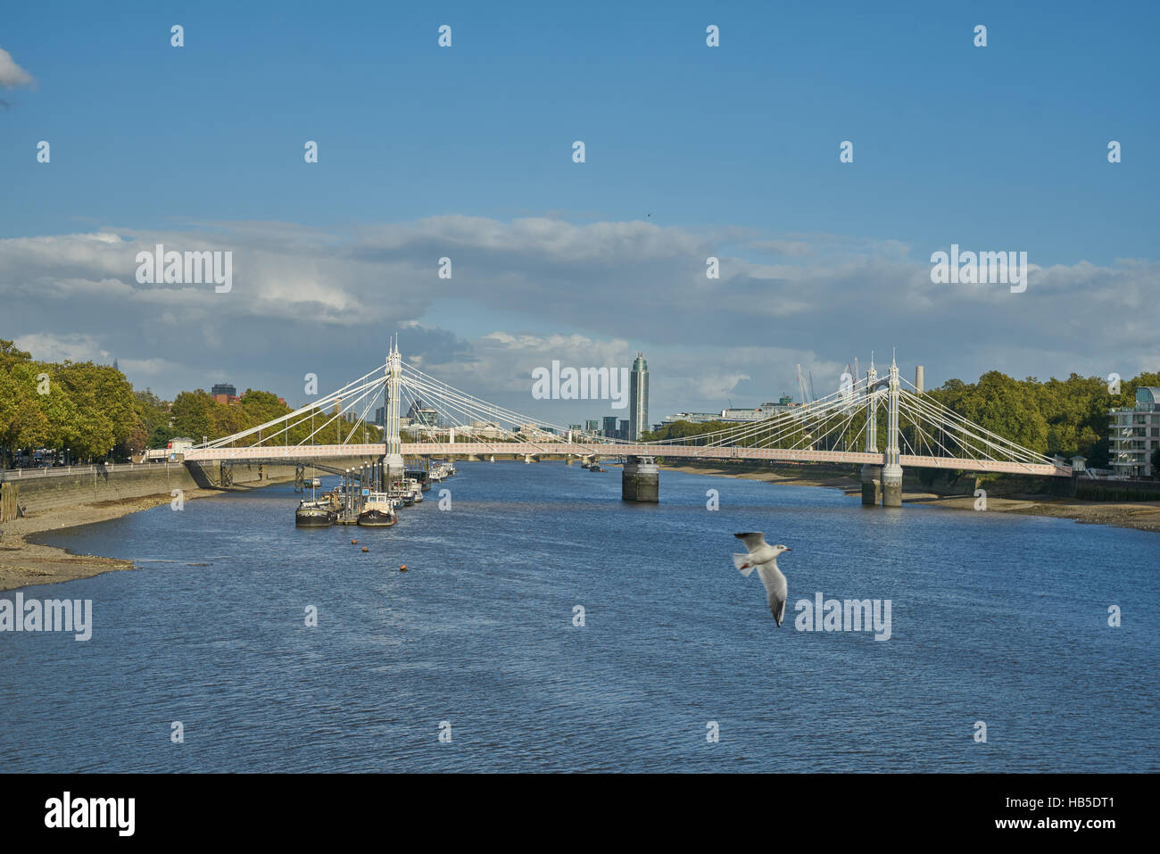 die Albert Bridge, London.     Themse-Brücke.  Victorian-Brücke Stockfoto